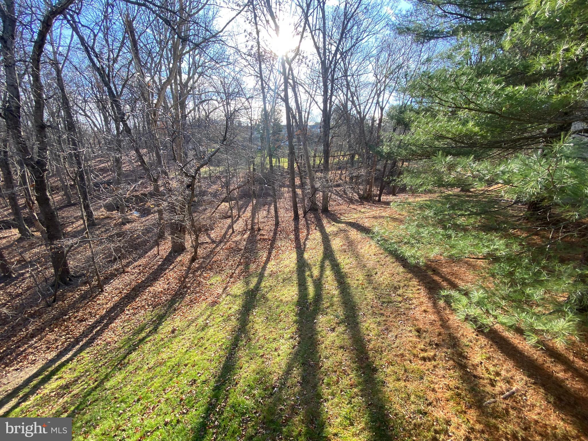 QUINCE ORCHARD ESTATES - Residential