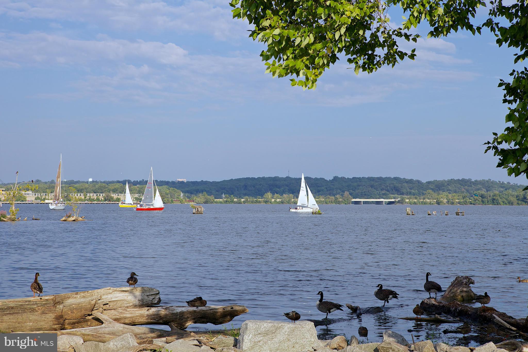 OLD TOWN - Residential