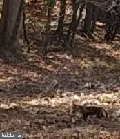 ANDALUSIA - Residential Lease