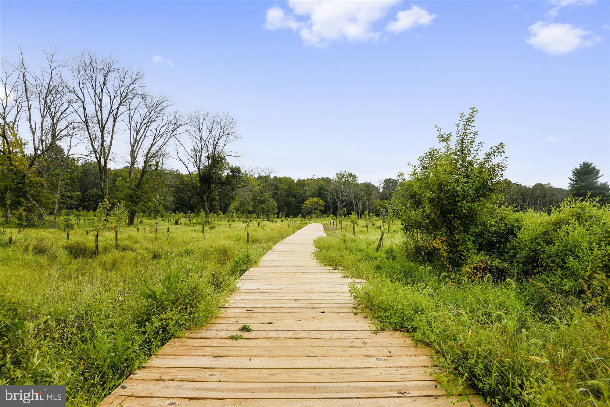 POPLAR RUN - Residential