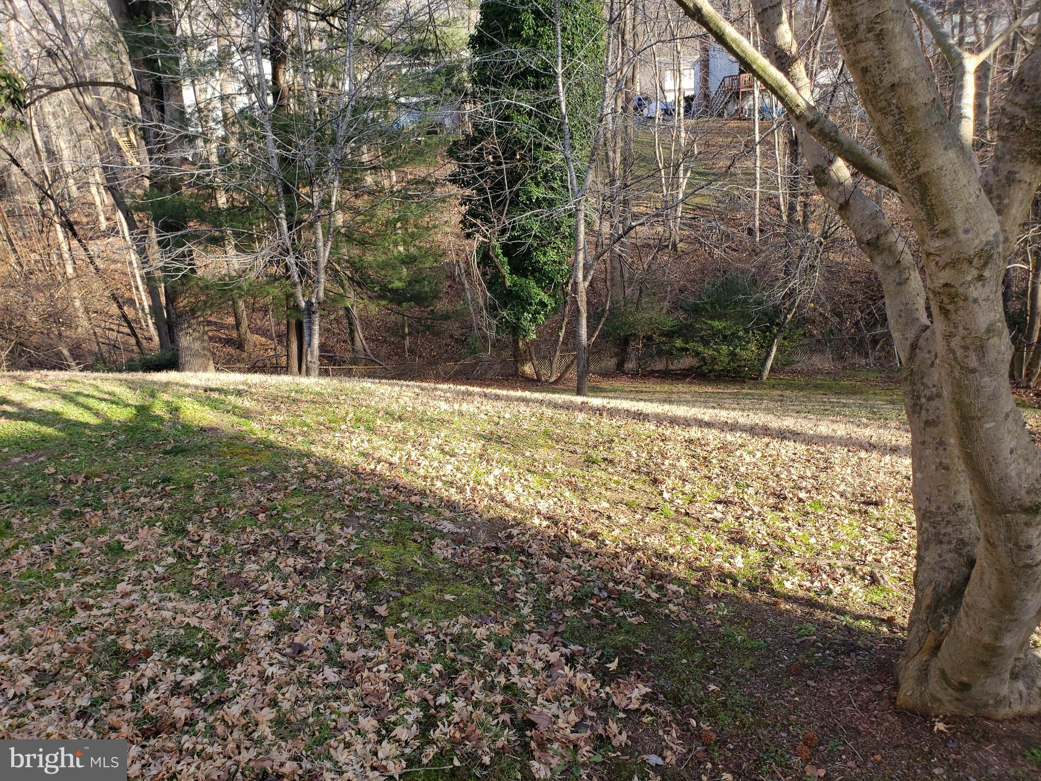 MARLBORO MEADOWS - Residential