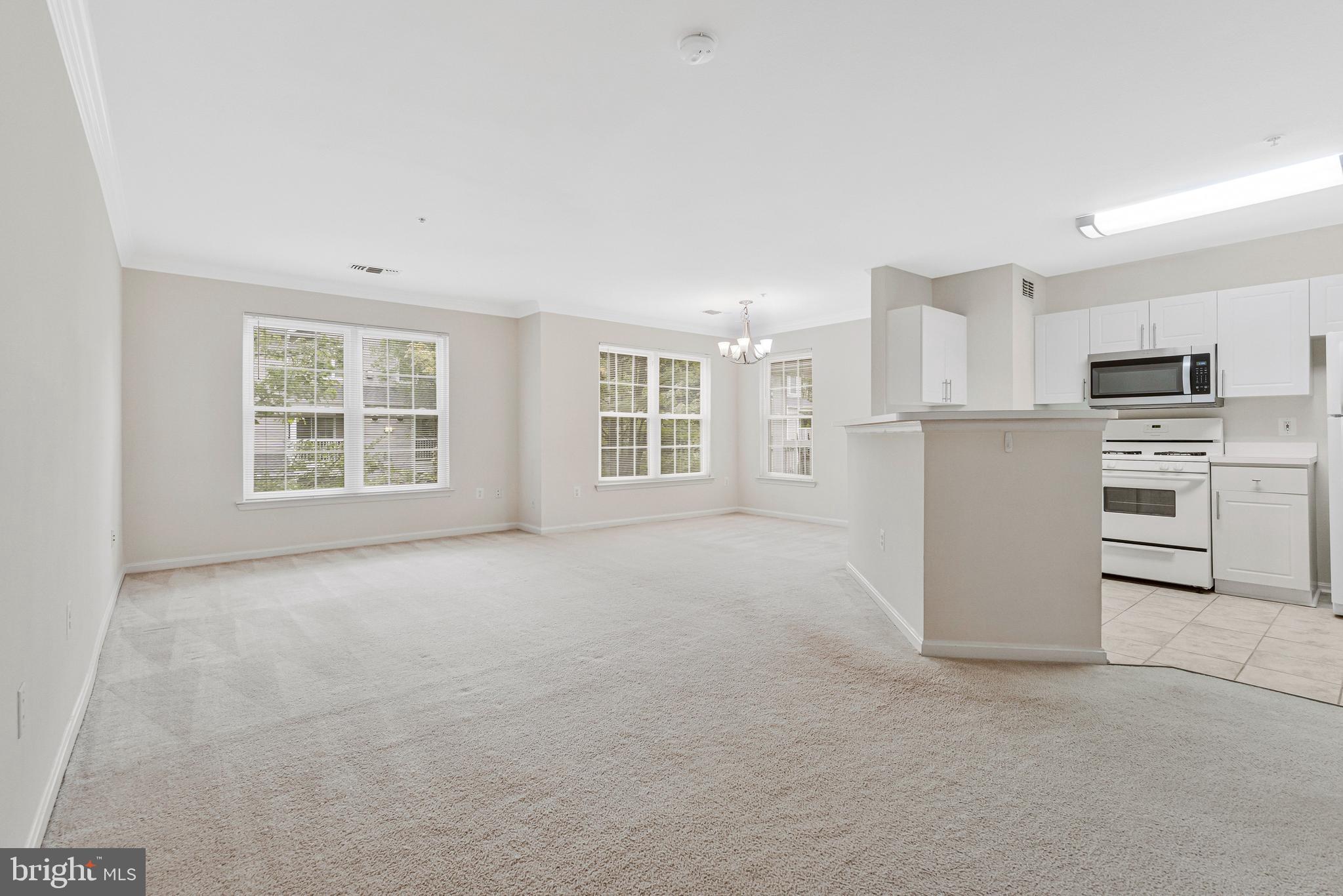 12890 FAIR BRIAR LANE 12890