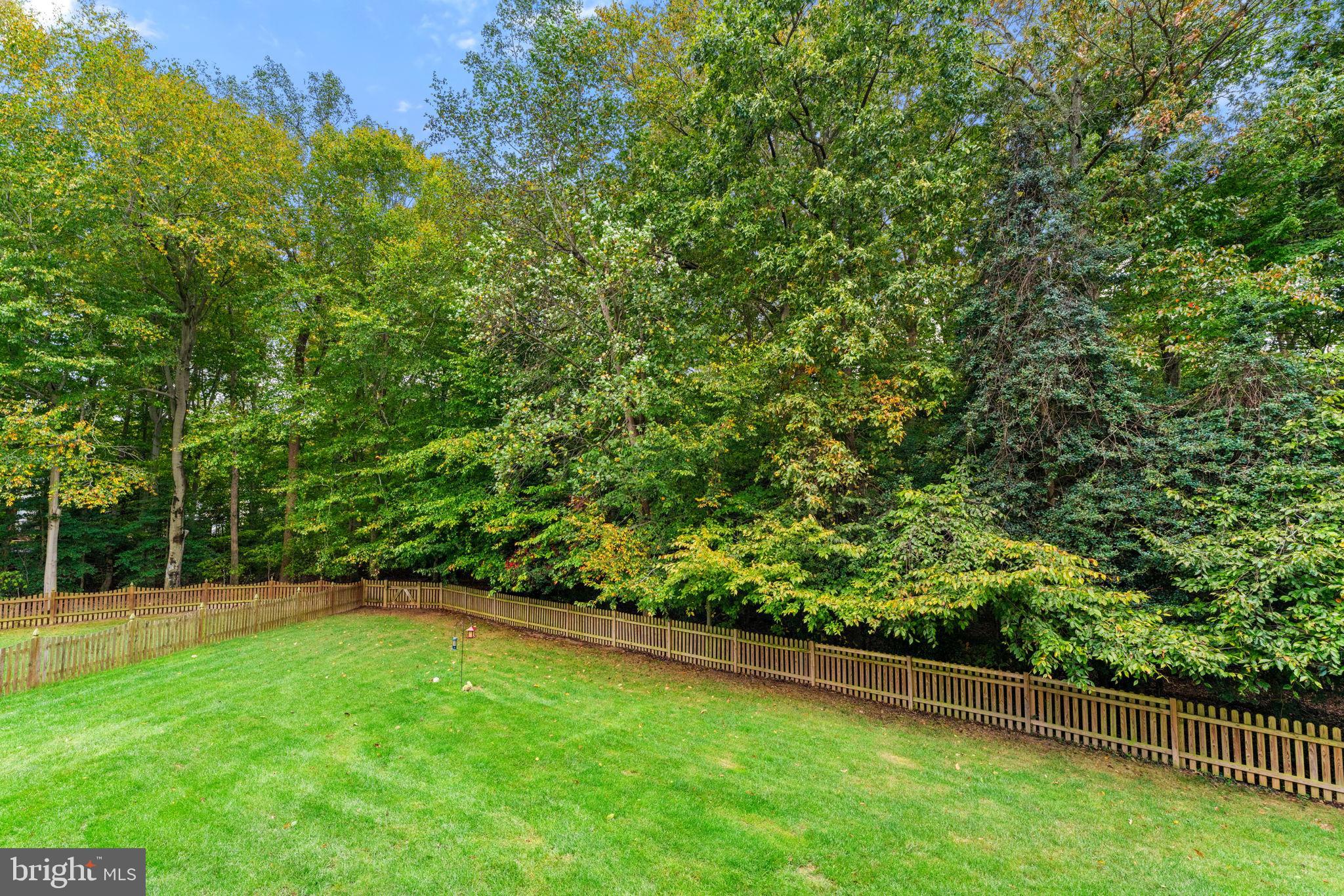 THE WILLOWS - Residential