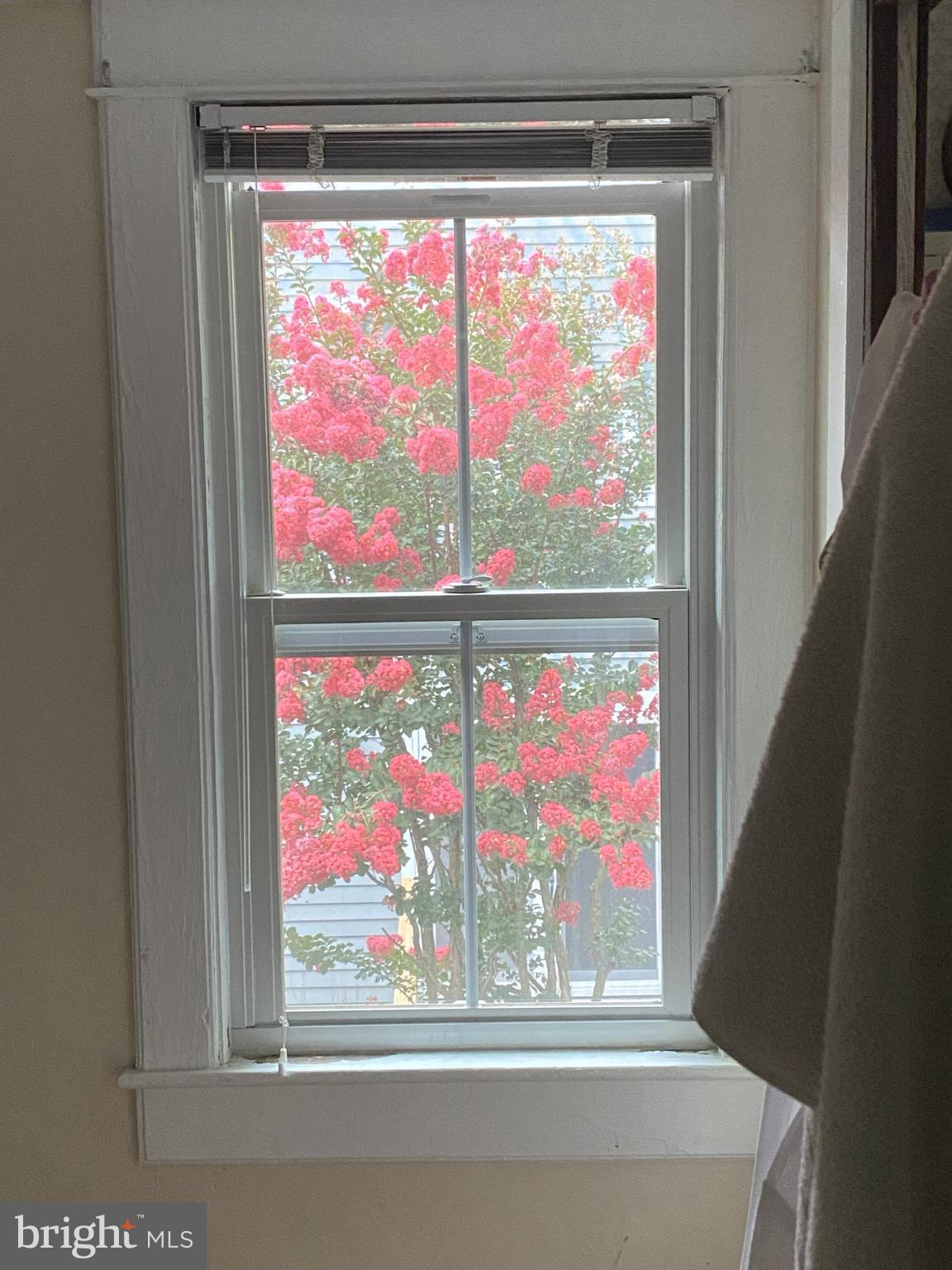 LEWES BEACH - Residential