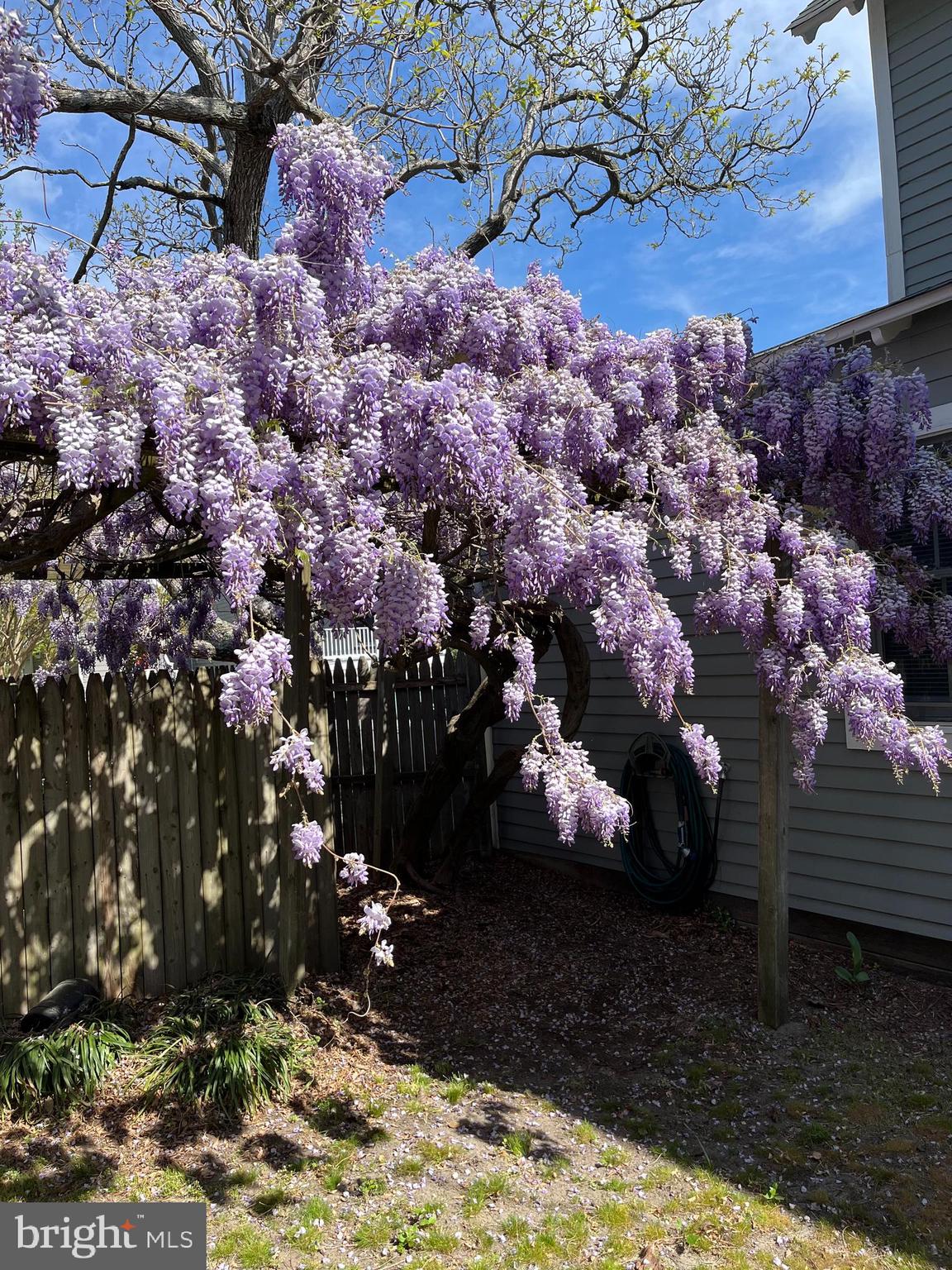 LEWES BEACH - Residential