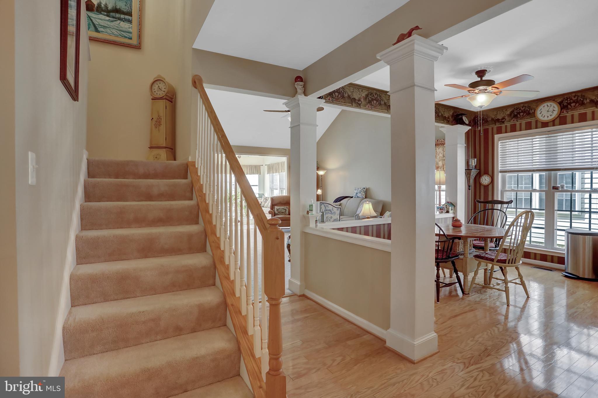 CARROLL VISTA - Residential