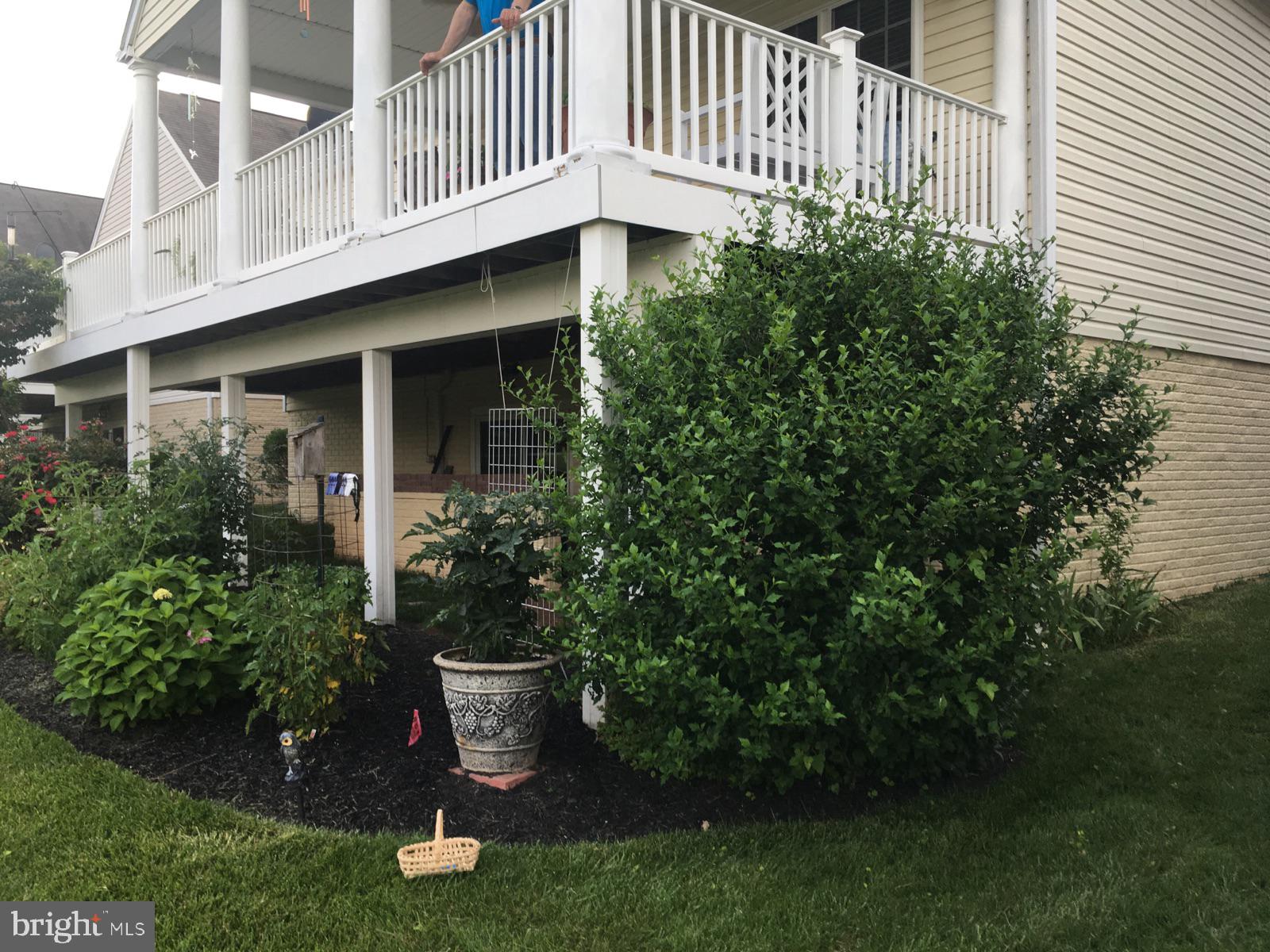 CARROLL VISTA - Residential