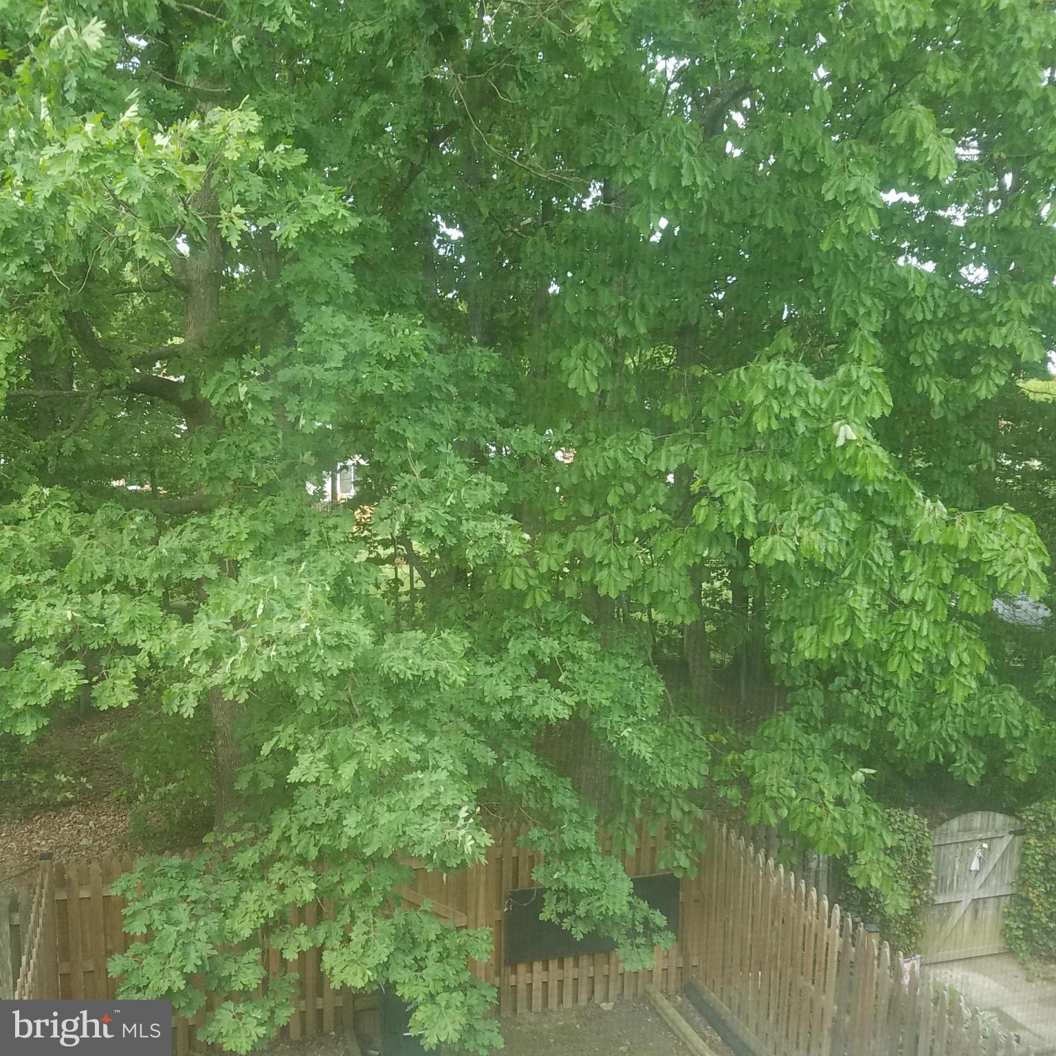 WESTRIDGE - Residential