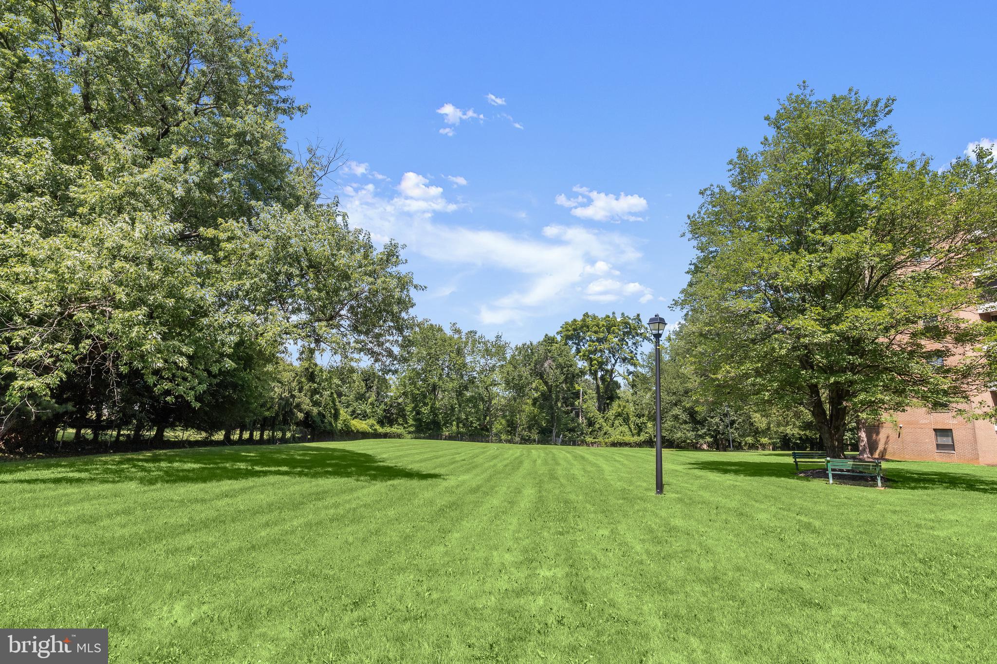 THE ELMONT - Residential