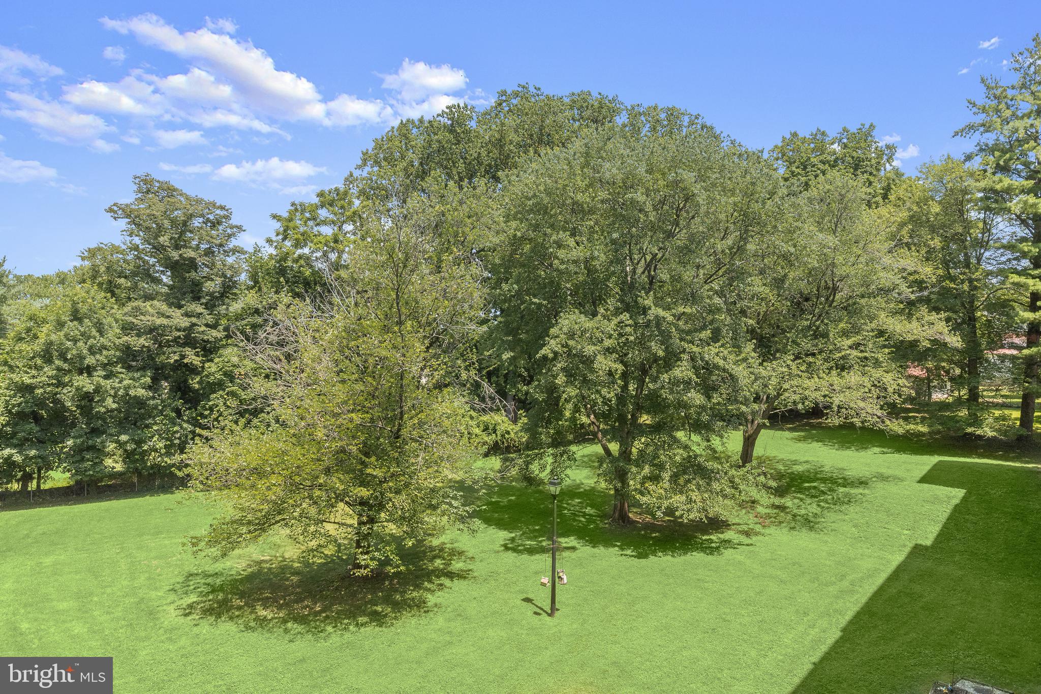 THE ELMONT - Residential