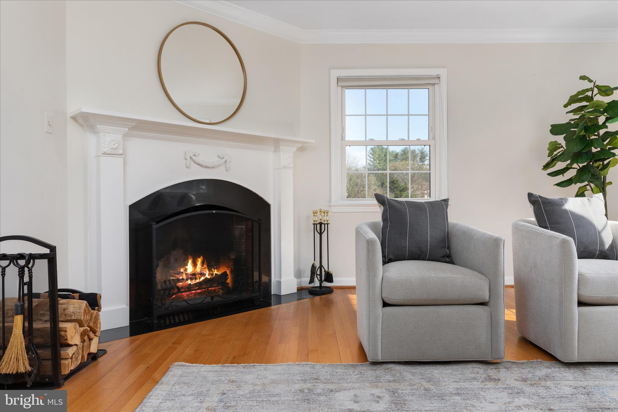 FOX LAKE - Residential