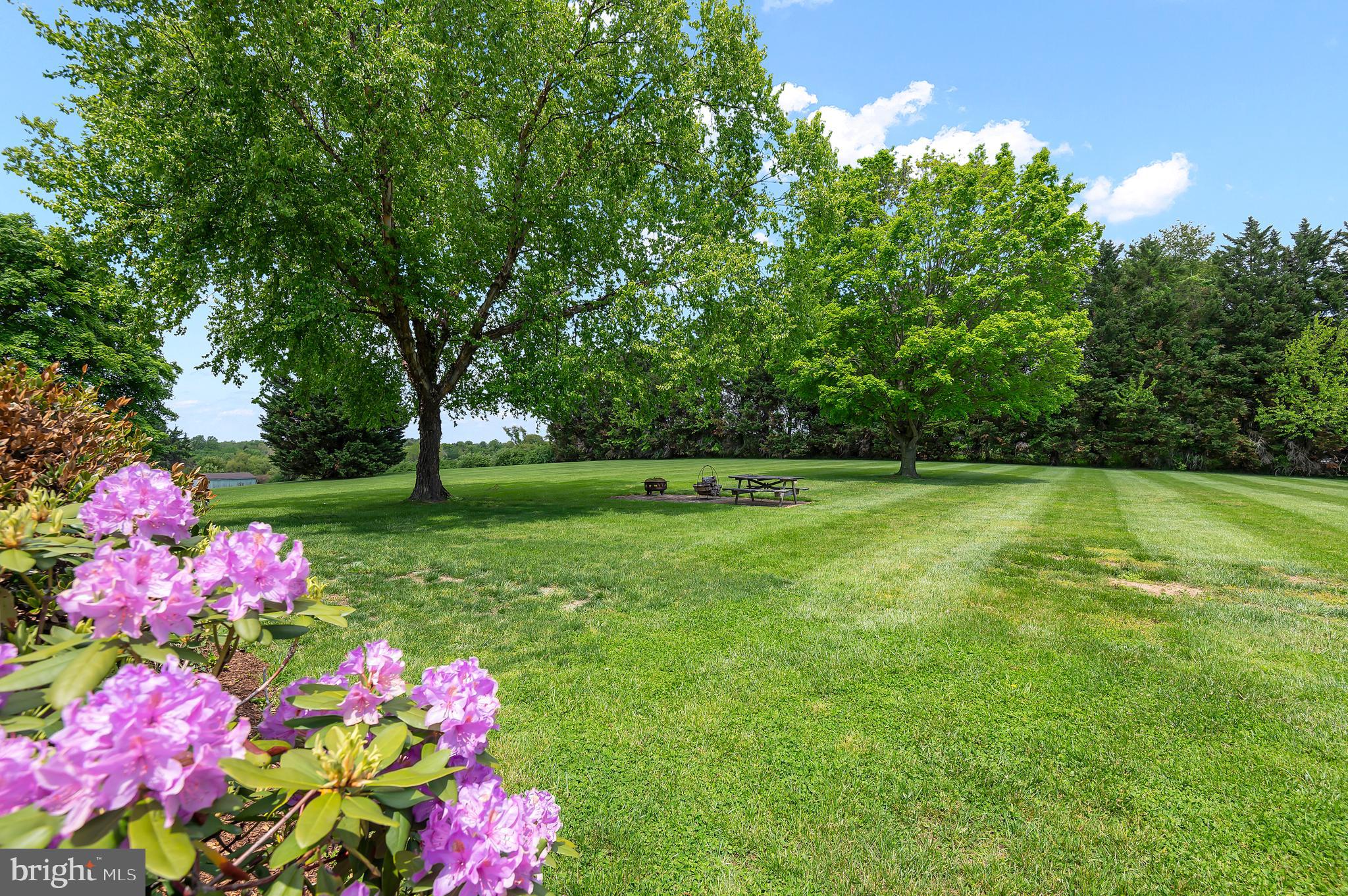 LOCUST HILL ESTATES - Residential