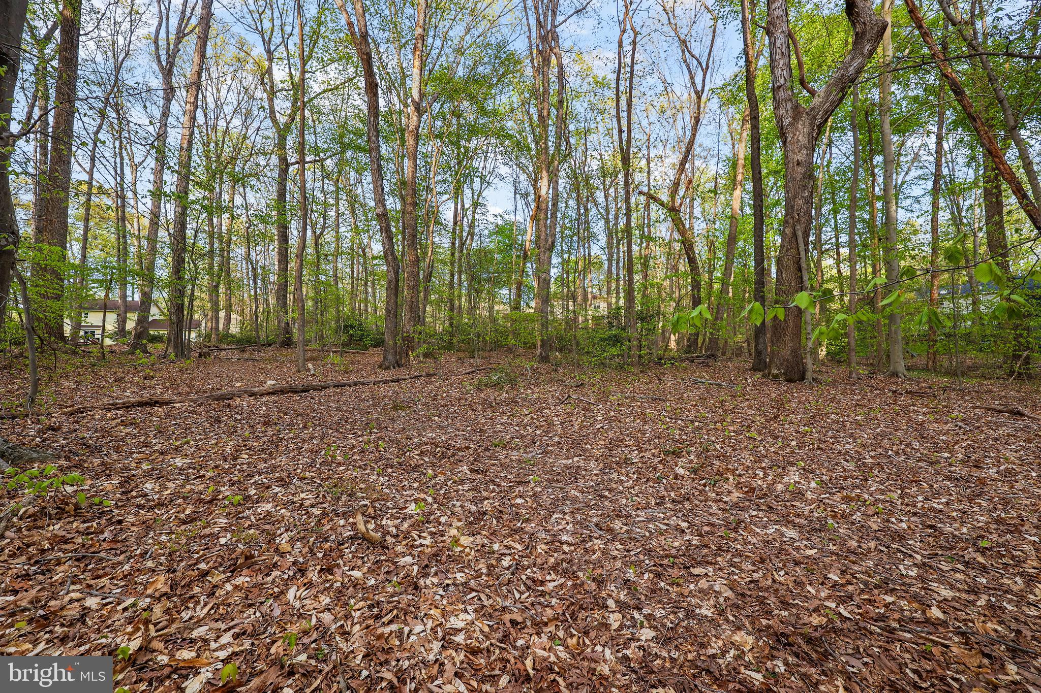 BREN FOREST - Residential