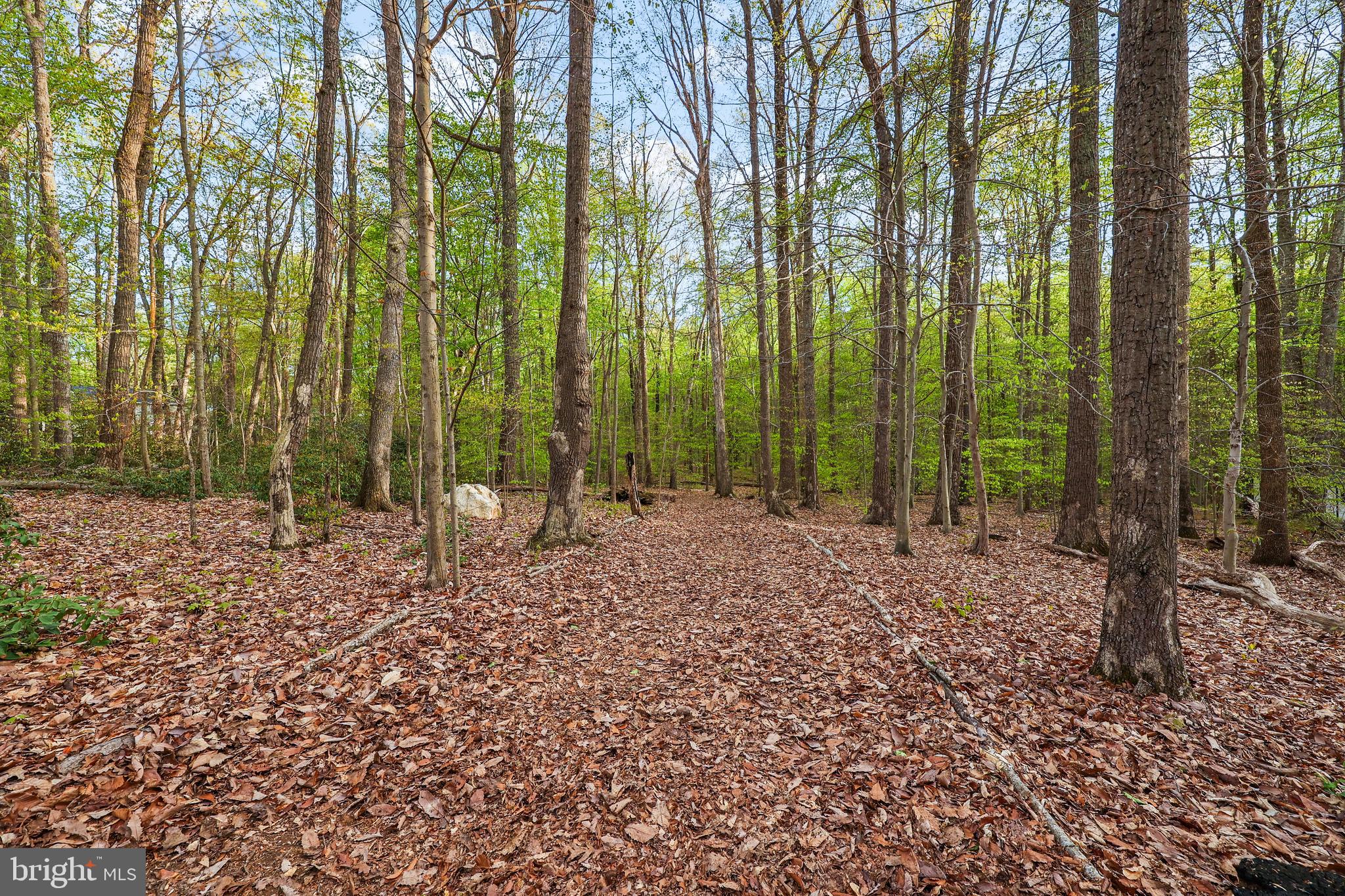 BREN FOREST - Residential