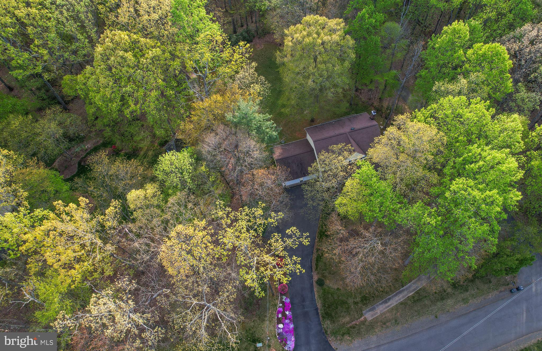 BREN FOREST - Residential