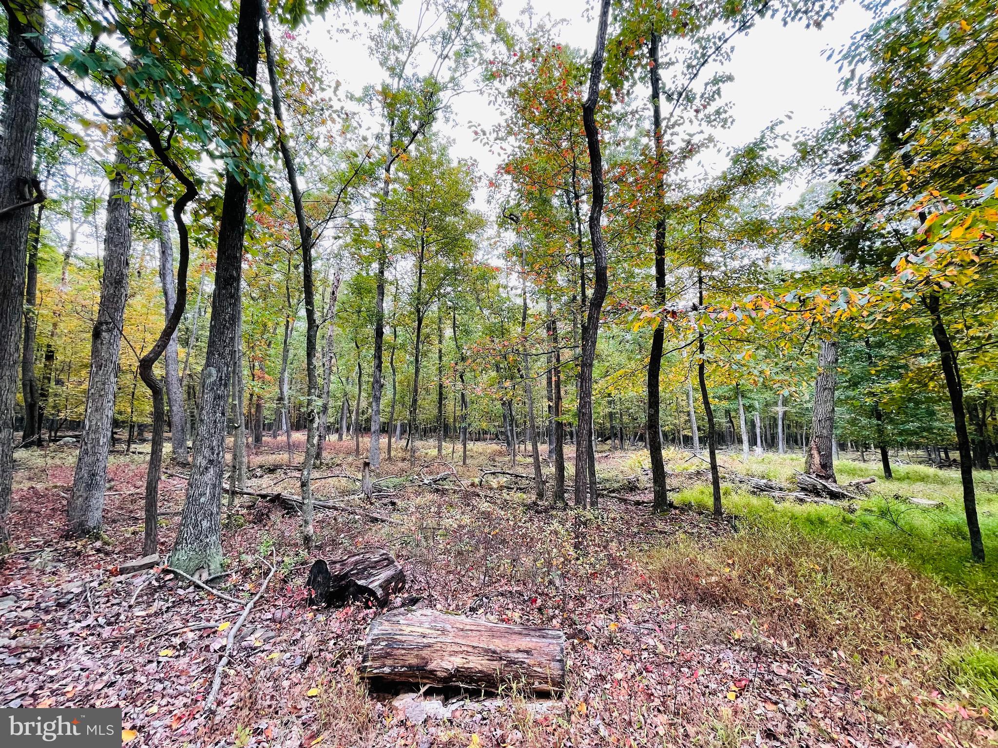 Location, Location, Location! Ready and waiting for you is a little piece of heaven with this .6-acre building lot in the Cove Village Association. But wait there's more.....the adjoining .6 acre lot is also for sale. (See separate MLS listing for 517 Haystack Drive) Buy them both and you could be building on 1.2 acres. Clear the rear of the lot and you'll enjoy panoramic mountain and valley views. Situated in the foothills of the Poconos and only 1 1/2 hours to New York this could be where you build your getaway or your forever home. With easy access to I-81 your commute to Hazleton, Wilkes Barre, or Scranton is a breeze. Bring your own builder and let's make your dreams come true. Your building costs are lower here since public water and sewer are already in place ready for you to connect through Aqua of Pa. Do you desire a cabin or home where you can hunt, fish, ATV, snowmobile, and more? How does approximately 750 acres of unoccupied prime hunting, ATV, and snowmobile riding land, sound to you? Yes, that's right! Adjoining the residential portion of Cove Village is just that for residents of the community and their guests! Driving through the community, the peace and tranquility will envelop you. The homes vary from rustic cabins, chalets, traditional ranch, two-story homes, exquisite new construction, and even dreamy mountain log homes. There really is something for everyone. The approximately 278 acres of residential homes and lots are occupied by full-time residents, part-time vacation homes, and even some snowbird second homes. Cove Village is located in the mountains of Northeastern Pennsylvania and offers an abundance of amenities including a swimming pool, stocked fishing lake, a basketball court, tennis courts, a volleyball court, 2 playgrounds, a baseball field, ATV paths, hunting, a mini golf course, walking paths, and year-round Community events. I can't forget to mention the beautiful lodge ideal to rent for family gatherings. This lot and community just might be exactly what you've been looking for. Air B and B are not permitted. Camping on vacant lots is not permitted. Mobile homes are not permitted. The minimum square footage when building is 1400 square feet. The community maintains the roads and snow removal. Trash collection is also provided. An appointment is required to view due to the gated community. Call to schedule your tour today!