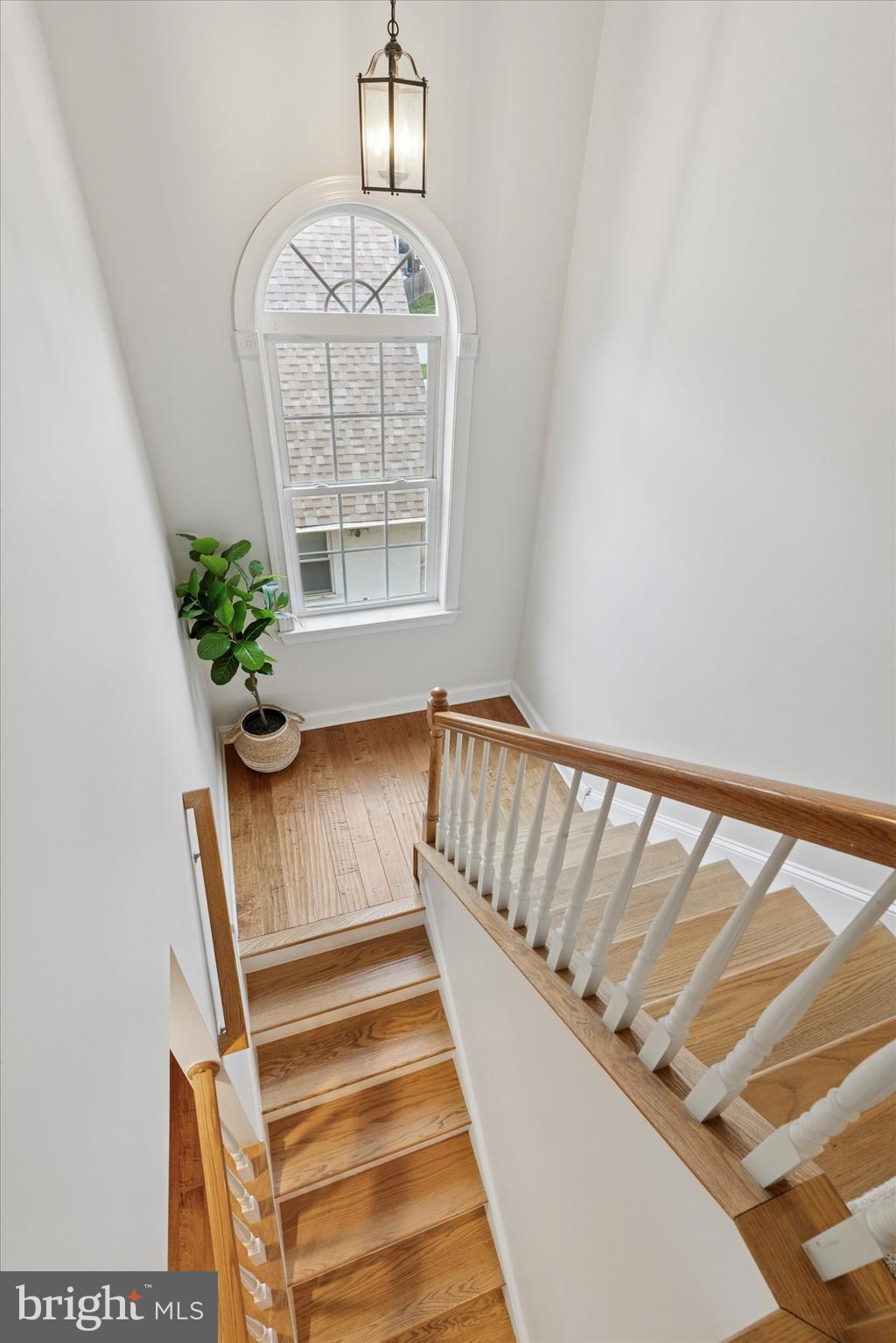 BELMONT HILLS - Residential