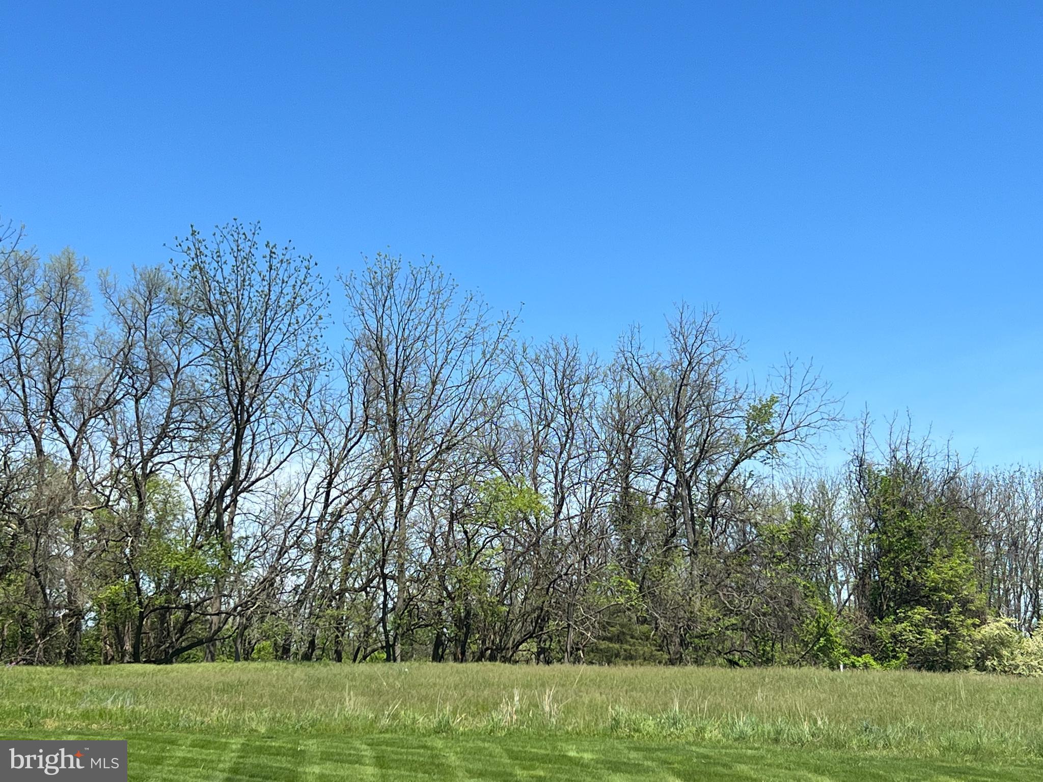 COUNTRY LANE ESTATES - Land