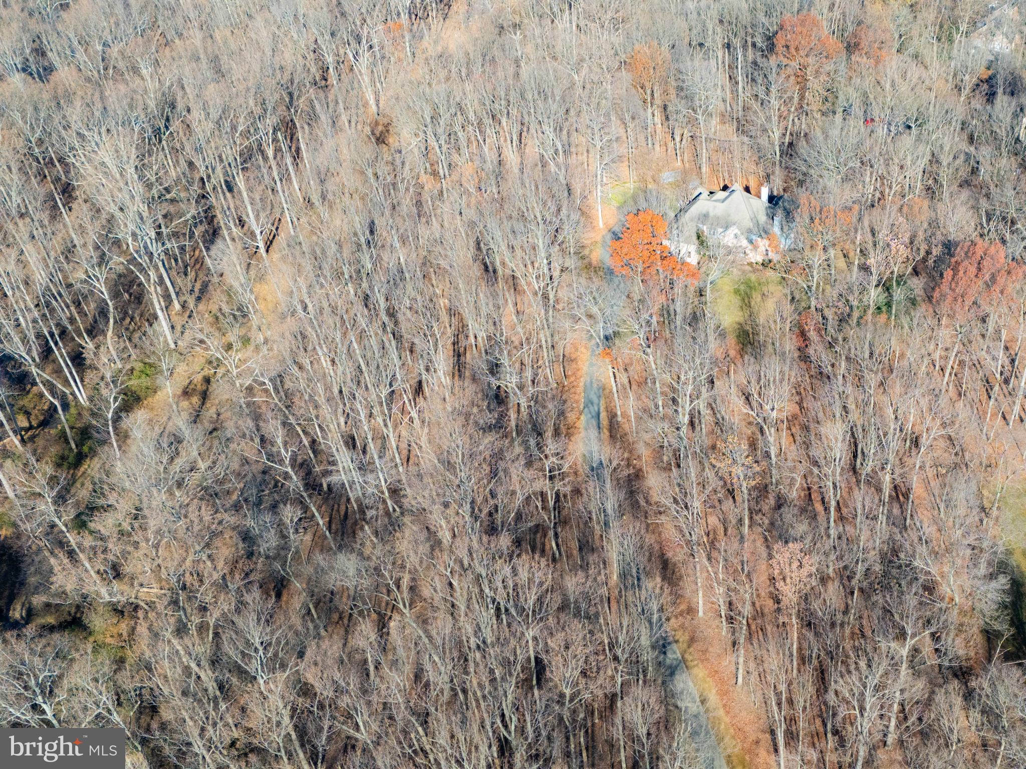 TWELVE HILLS - Residential