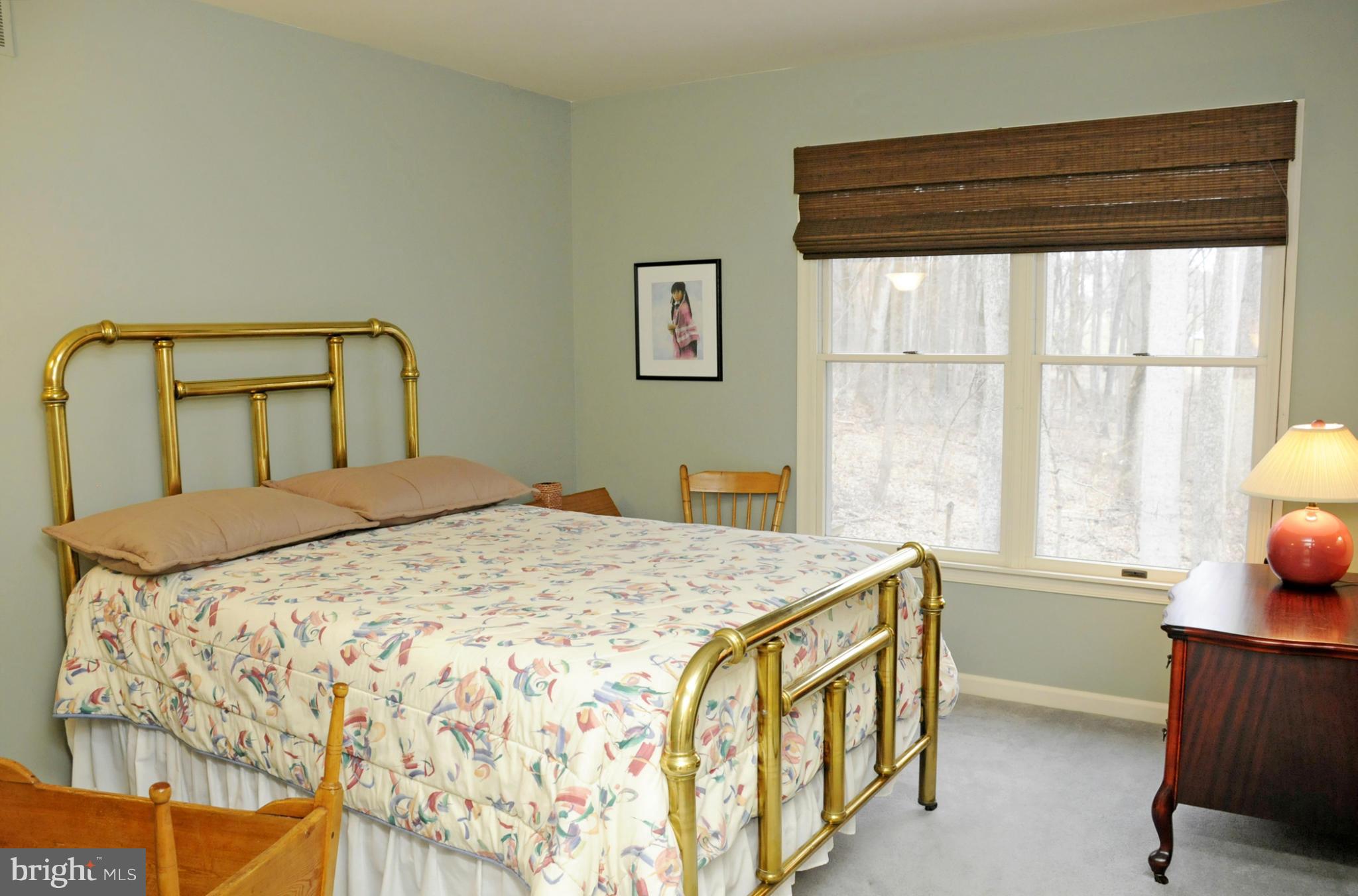 TRIADELPHIA WOODS - Residential