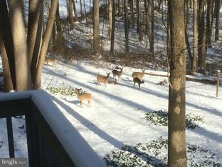 TRIADELPHIA WOODS - Residential