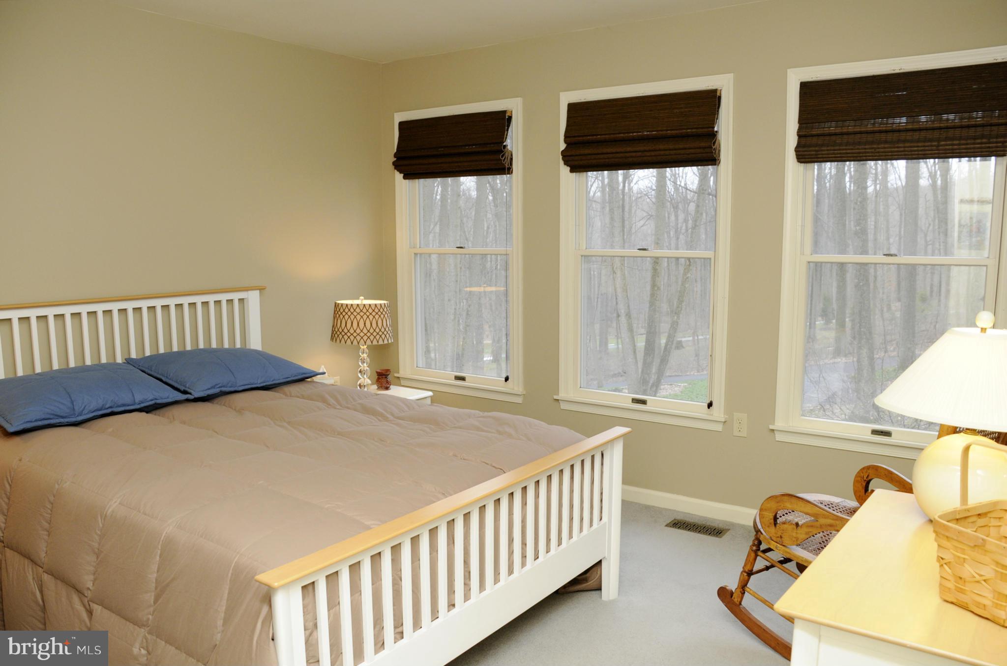 TRIADELPHIA WOODS - Residential