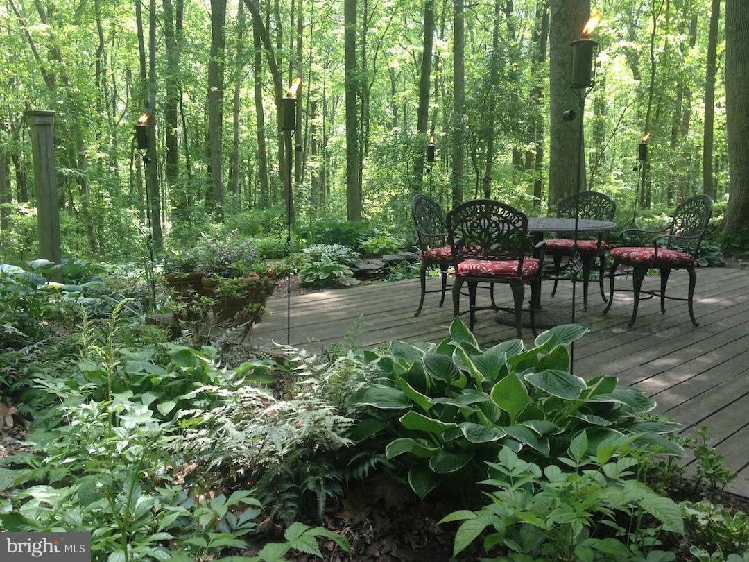 TRIADELPHIA WOODS - Residential