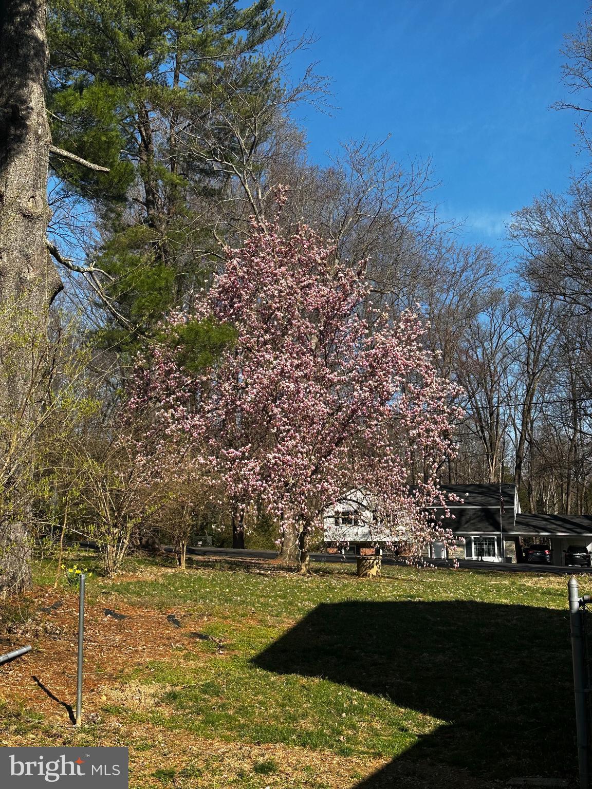 CARRIAGE HILL - Residential