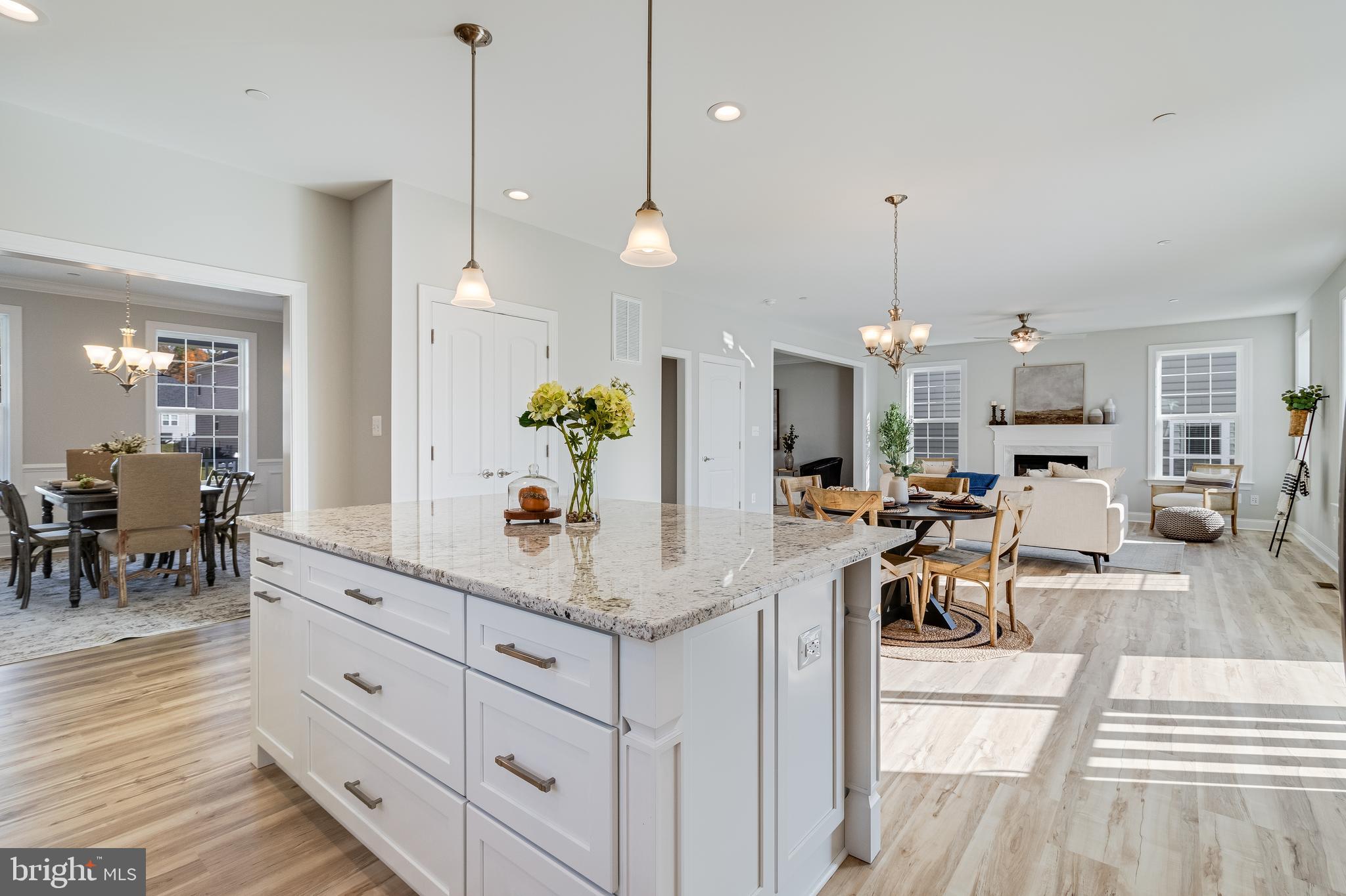 MEADOWS AT TOWN RUN - Residential