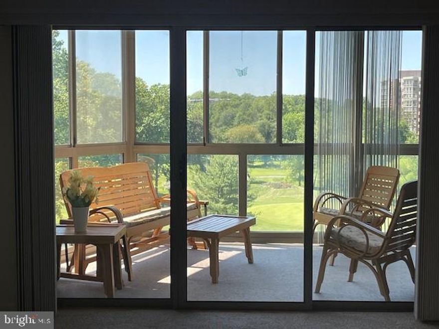 Great Views overlooking green space and the Golf Course!  
This two-bedroom, two full bath condo is practically brand new. Has been freshly painted and offers beautiful hardwood flooring in the foyer and hallway including new tile and new carpet throughout the unit. This large 1,315 Sq Ft condo has everything you could want and more. The kitchen can accommodate a table and chairs and has pull out shelves in the pantry closet for easy access. There is a separate formal dining room. The living room is equipped with a gas fireplace for those cozy winter nights by the fire. This is one of the only models that has a walk-in laundry room with tons of extra storage. You could even have an extra freezer or second fridge in this space. The primary bath has a walk-in shower and the guest bath has a bathtub.  Abundant closet space is made up of two walk-in closets, a large bedroom closet and a hall closet. 
Best of all is the enclosed balcony with amazing open views. Imagine having your morning coffee or entertaining friends with evening refreshments while overlooking the golf course. A sizable storage space is included with the unit. You will feel right at home in this amazing building and will enjoy all that Leisure World has to offer including Restaurants, Pools, Club Houses, Fitness Center, Library and Walking Paths on the beautiful kept grounds. Plus, there are Clubs for every interest.
Your next adventure awaits when you move into this beautiful condo in Leisure World.