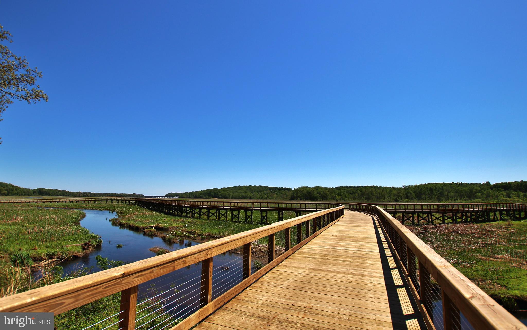 DAWSON LANDING - Residential