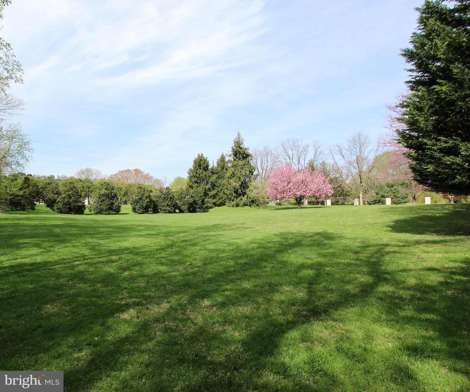 POTOMAC RANCH - Residential