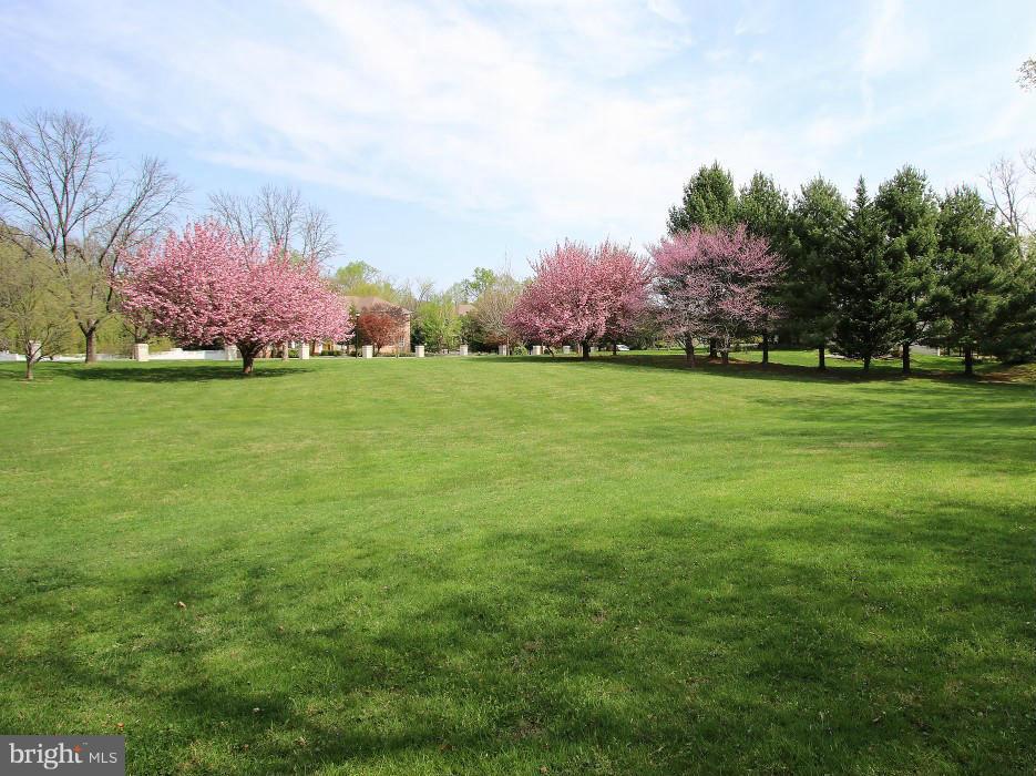 POTOMAC RANCH - Residential
