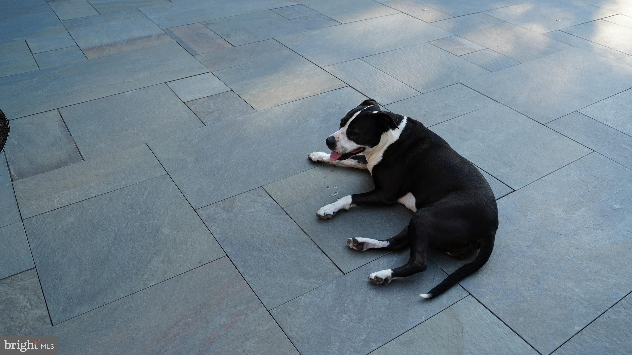 MEETINGHOUSE VIL - Residential