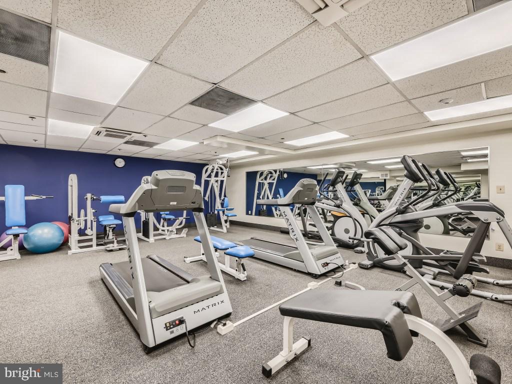 HENDERSON'S WHARF - Residential