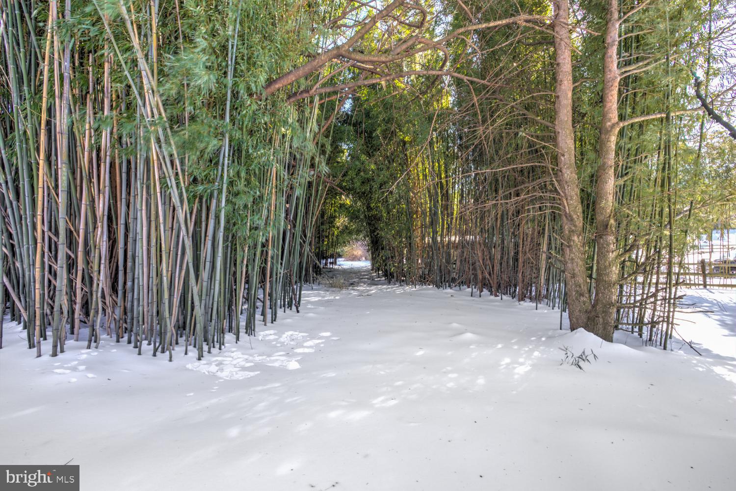 HYDE PARK - Residential