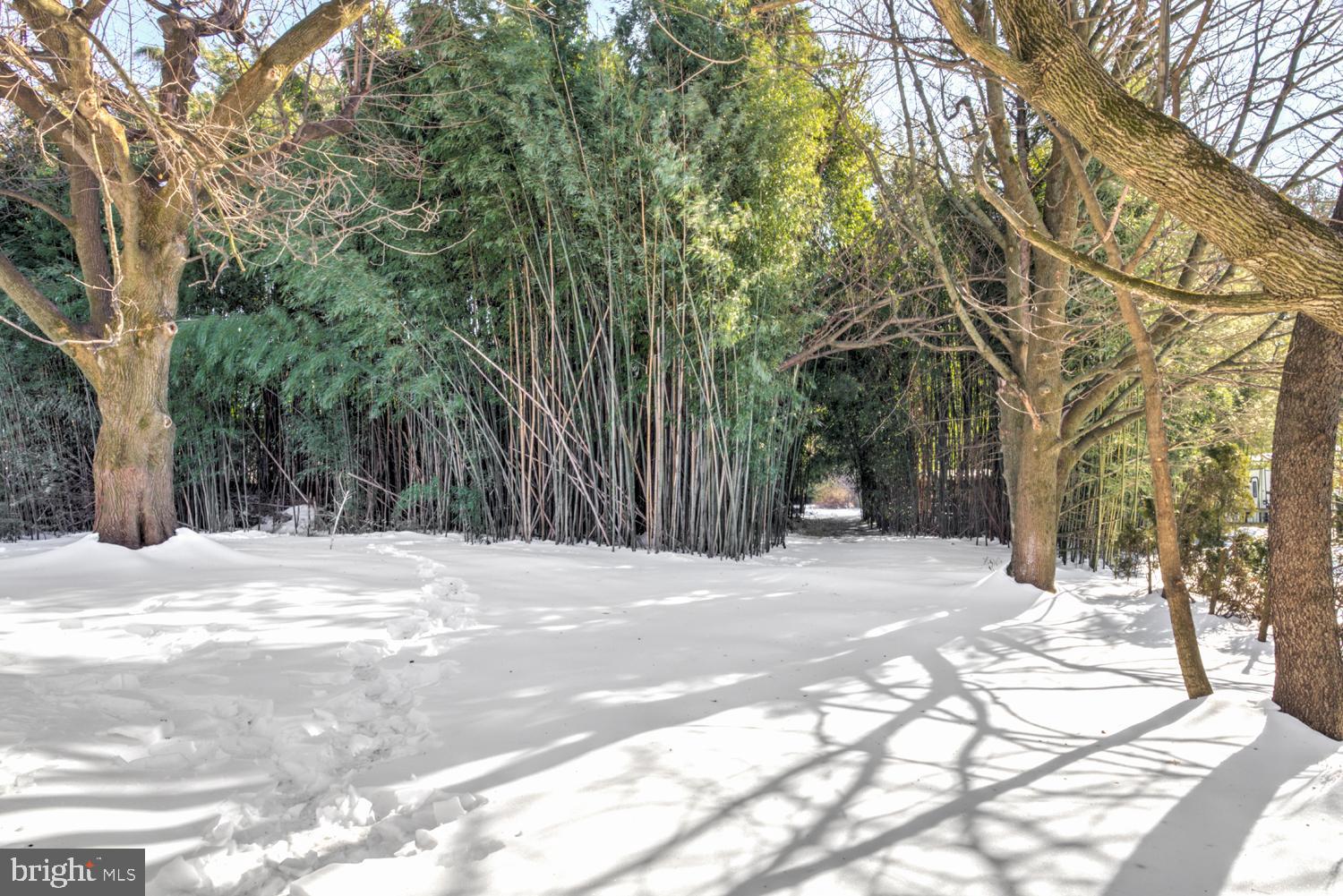 HYDE PARK - Residential