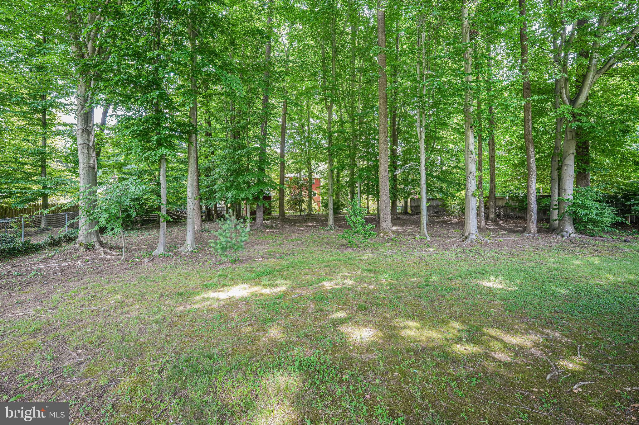 SPRINGBROOK FOREST - Residential