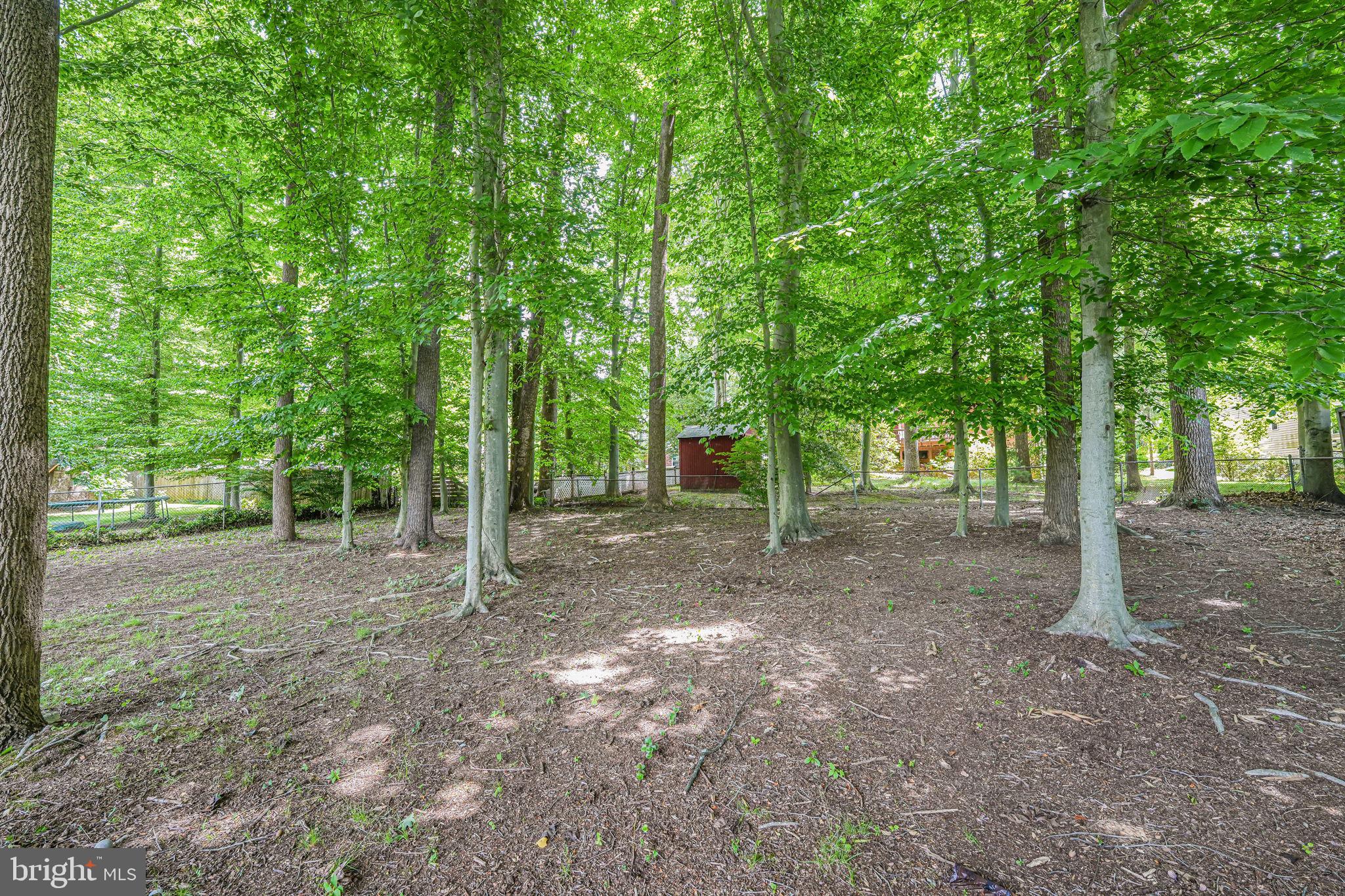 SPRINGBROOK FOREST - Residential