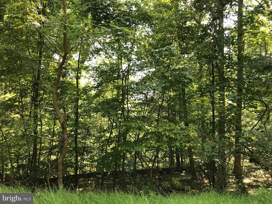 Wooded and partially sloped, this half acre lot has the potential to perc, or just use for convenient nearby recreational use or timber harvest. Owner has not had perc test