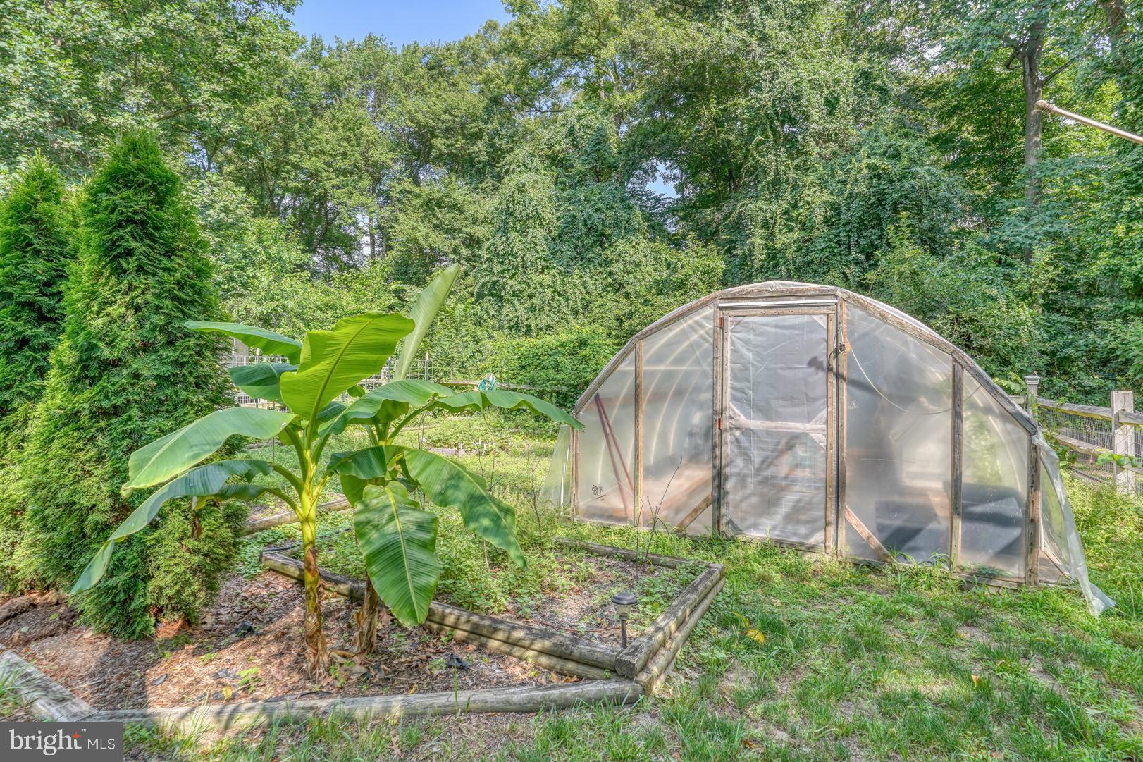 LYN WOODS - Residential