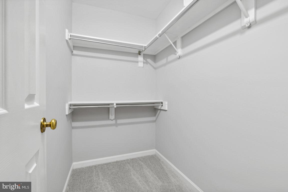 GEORGETOWN WOODS - Residential Lease