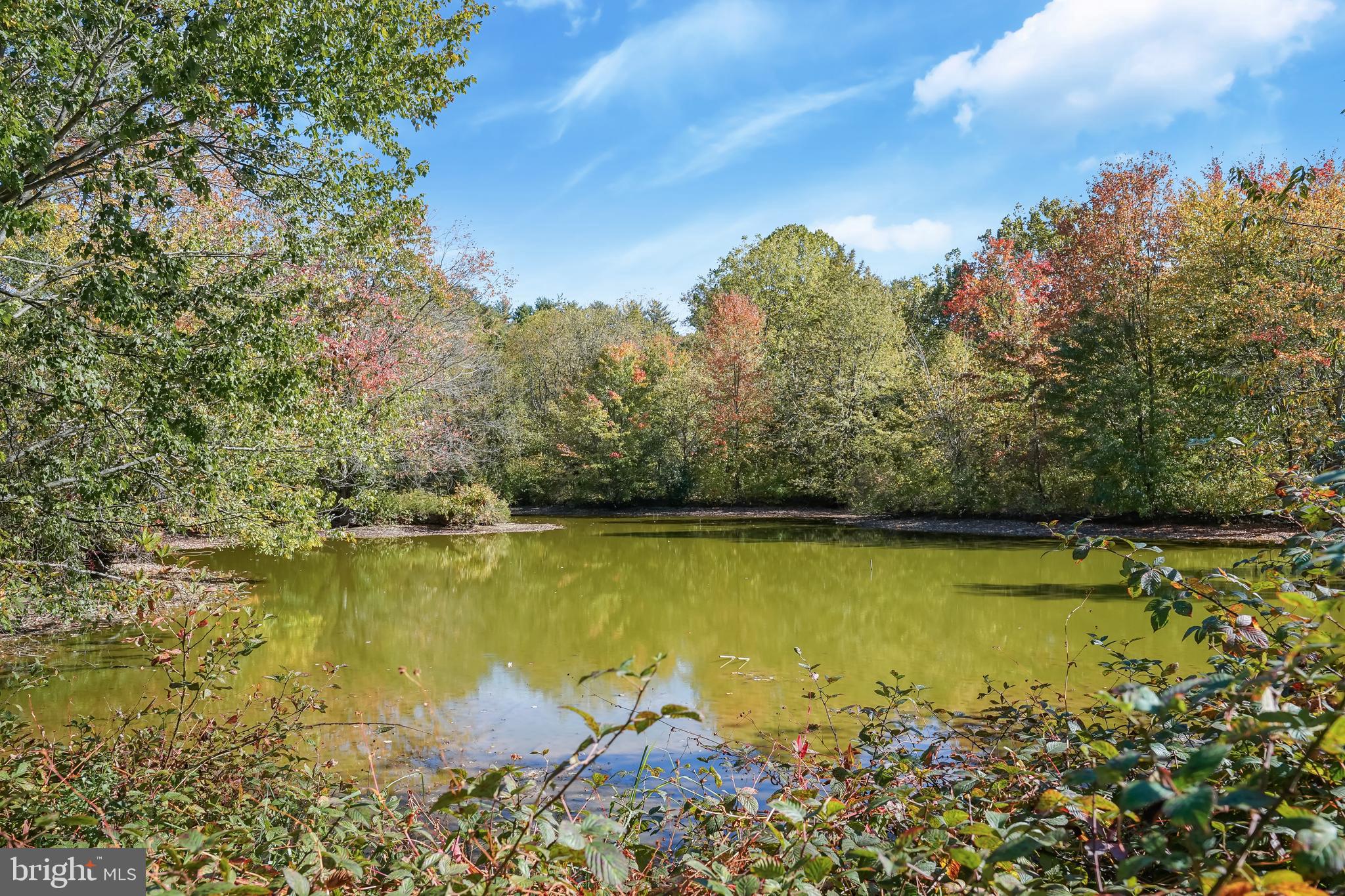 MILLS CHOICE - Residential