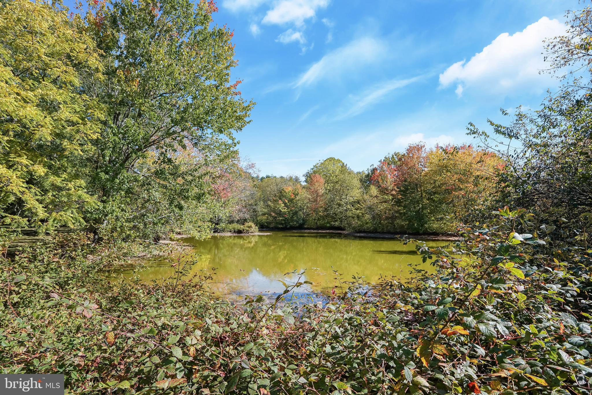 MILLS CHOICE - Residential