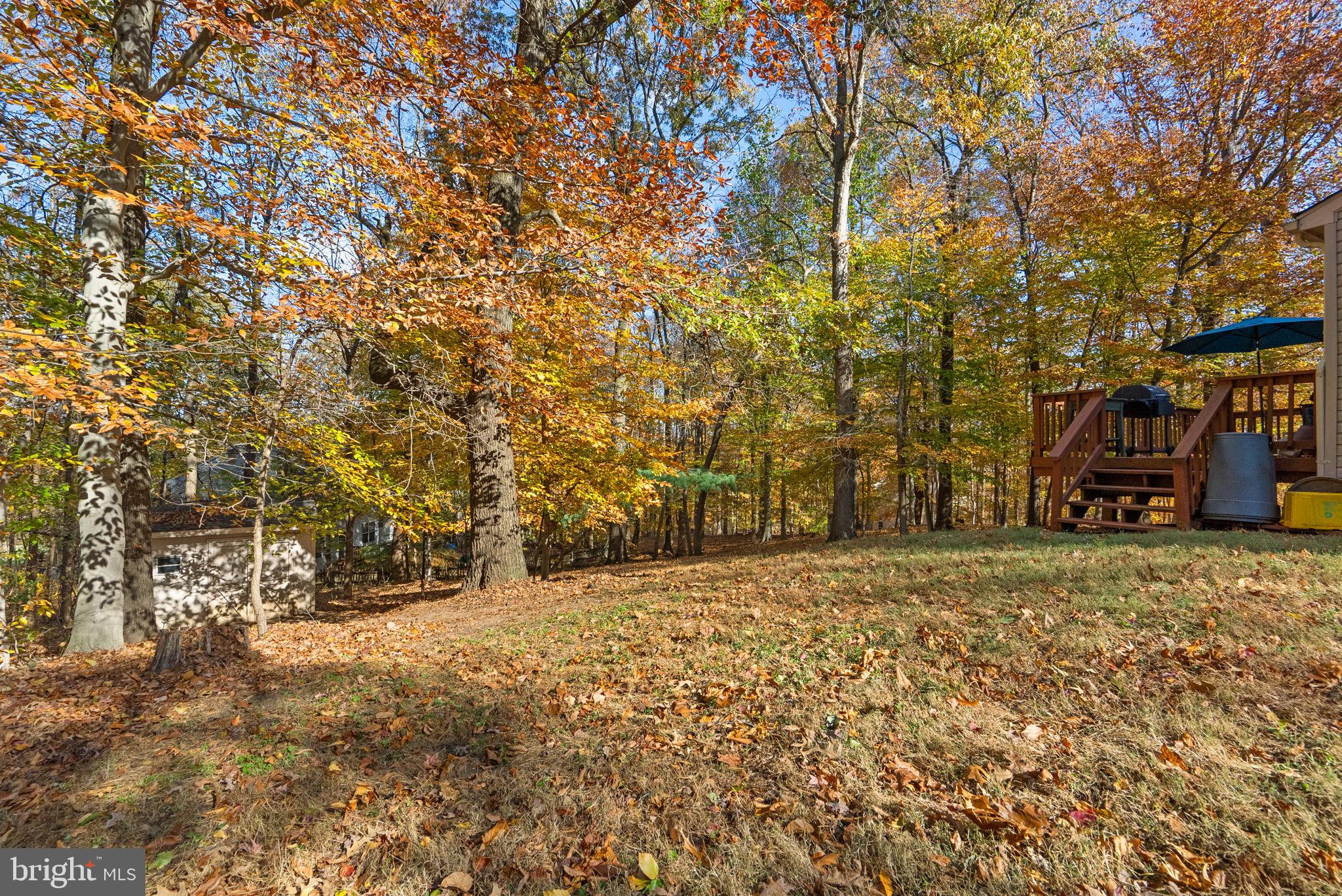 WESTPHALIA WOODS - Residential Lease