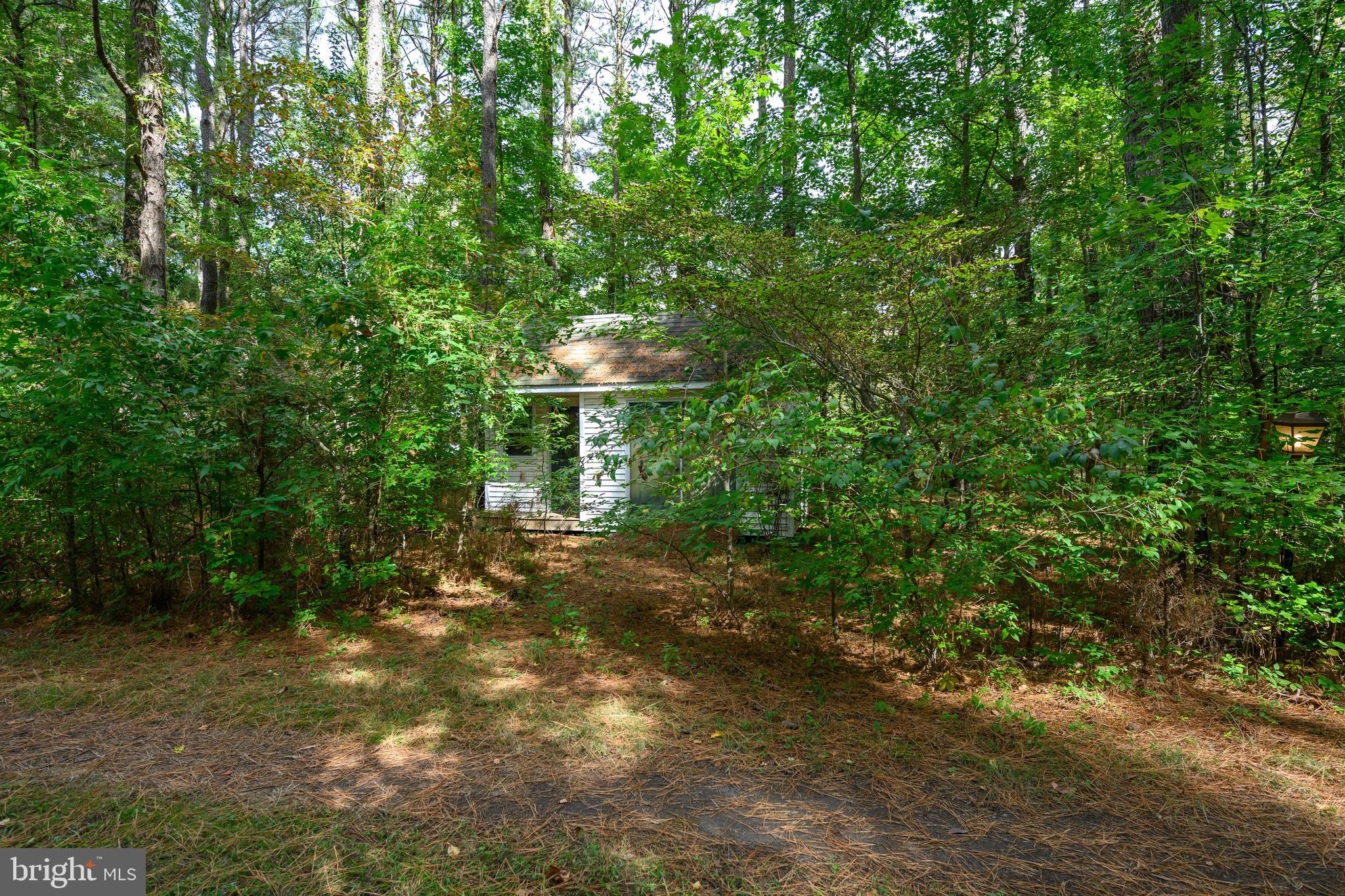 MT. MISERY - Residential