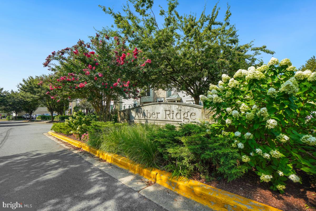 AMBER RIDGE AT MILESTONE - Residential