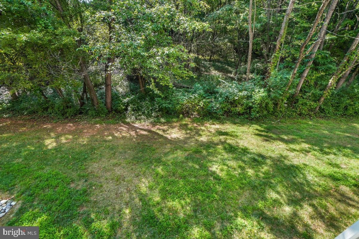 AMBER RIDGE AT MILESTONE - Residential