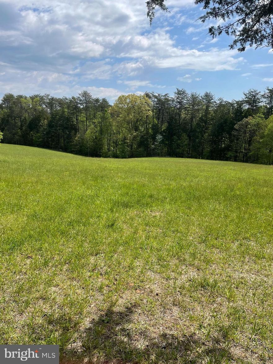 Look no further! You have found the perfect location to build your dream home with plenty of land.  This 22+ acre property has a great clearing on which to build your dream home located on a main road.  The property also has  a local creek that runs on it and a partially wooded area for camping, hunting, or just enjoying all that nature has to offer.  Located minutes from Lake Anna, and is in striking distance to the mountains, wine  country, and less than an hour from Charlotesville, Richmond, and Fredericksburg.  Perced in the past in multiple locations (paperwork not available.)
WE CAN ARRANGE TO HAVE INTERESTED BUYERS DRIVEN AROUND THE PROPERTY.  CONTACT LISTING AGENT DIRECTLY TO SCHEDULE.