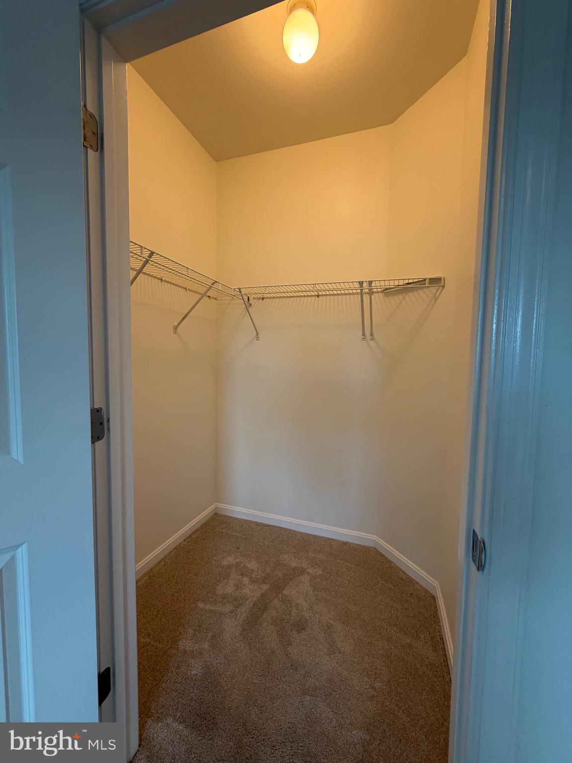 THE GROVE AT ARLINGTON - Residential